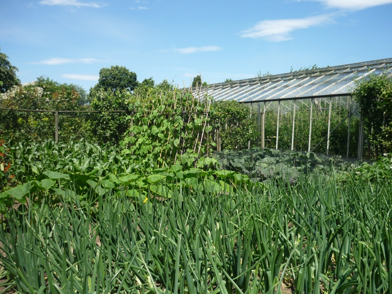 The Nursery